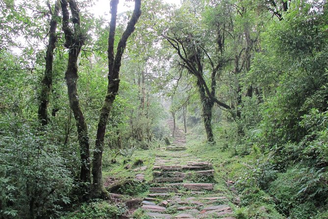 1-Day Private Dhampus Trekking Tour - How to prepare so the trek feels comfortable (not stressful)