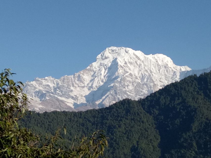 1 N 2 Days easy Dhampus,Australian camp trek from Pokhara - Overnight at a guest house: what that night usually feels like