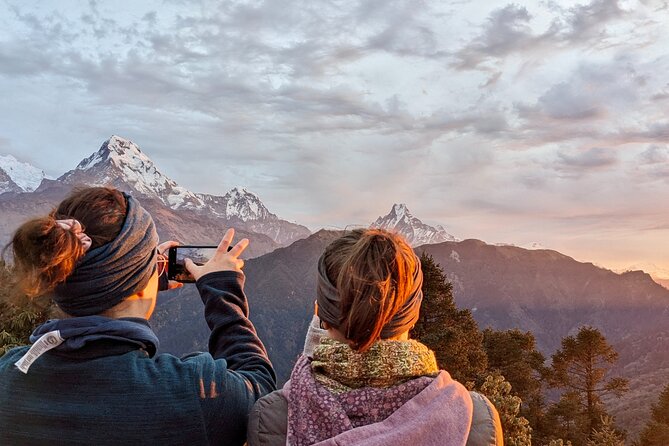 10 Days Private Guided Annapurna Basecamp Trek via Poon Hill - Day 4 to 5: Chhomrong territory, a suspension bridge moment, and forest walking