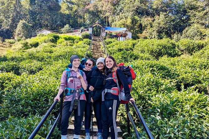 10 Days Private Guided Annapurna Basecamp Trek via Poon Hill - Day 8 to 10: a mostly downhill return, Jhinu Danda hot spring, and Pokhara drop-off