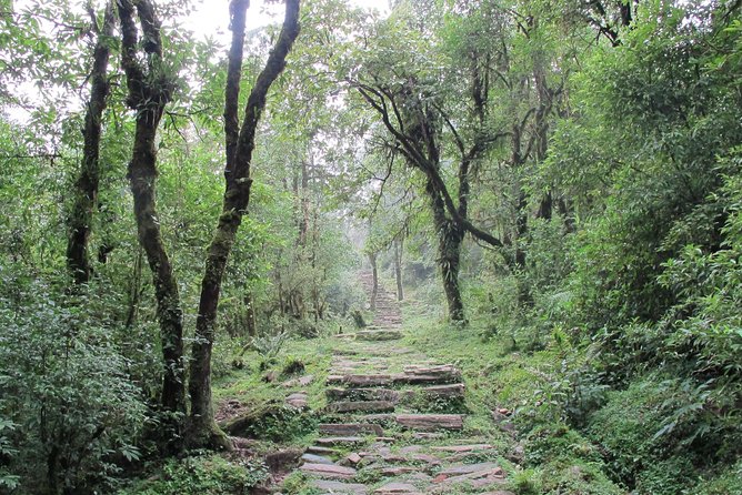 2-Day Private Trekking Tour to Australian Camp & Dhampus - Practical packing tips that actually matter here