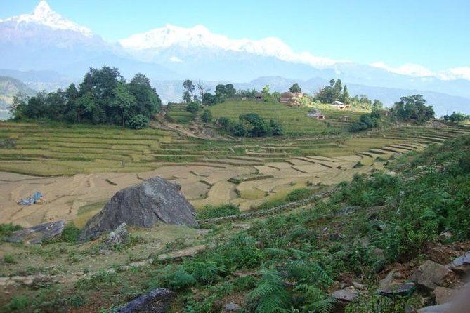 2 Days Panchase Hill Trek from Pokhara - Overnight guesthouse: why this stay is part of the value