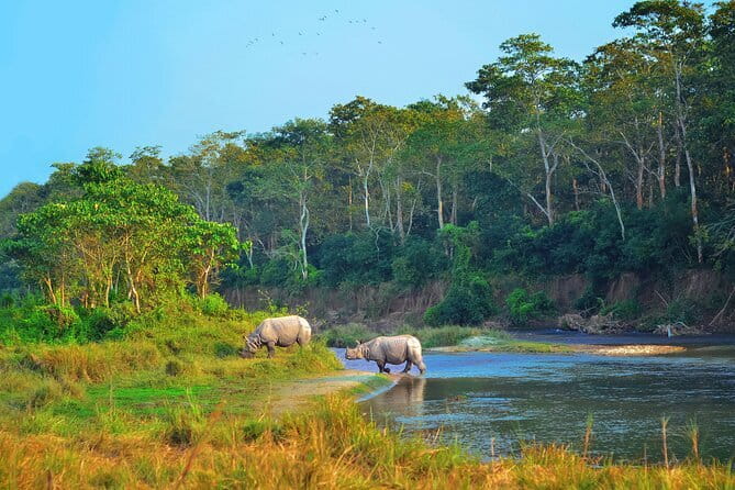 2 Night 3 Day Chitwan Jungle Safari Tour from Pokhara - Key highlights worth planning around