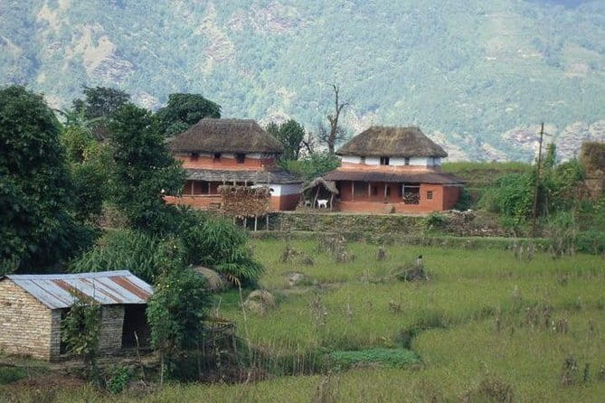 2 Night 3 Day Chitwan Jungle Safari Tour from Pokhara - Day 3: the return by tourist bus to Pokhara or Kathmandu