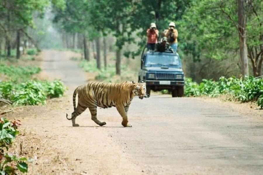 3-Day Chitwan Jungle Safari Adventure From Kathmandu/Pokhara - Why Chitwan from Kathmandu or Pokhara is a smart move