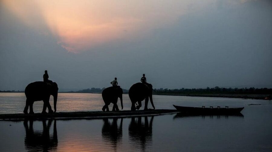 3-Day Chitwan Jungle Safari Adventure From Kathmandu/Pokhara - Day 3: The return ride and how to plan your next day