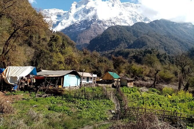 3 Day Kapuche Glacier Lake Trek with Siklesh from Pokhara - Day 3: village atmosphere, mountain views, and the drive back to Pokhara