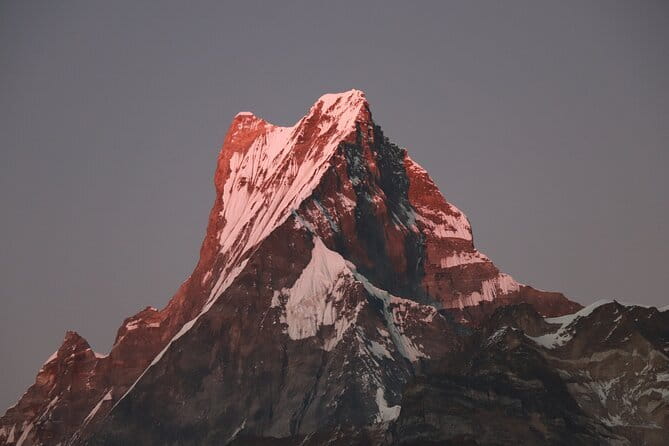 3 Day Mardi Himal Base Camp Trek from Pokhara - Day 1: Forest Camp to Pothana through green trails