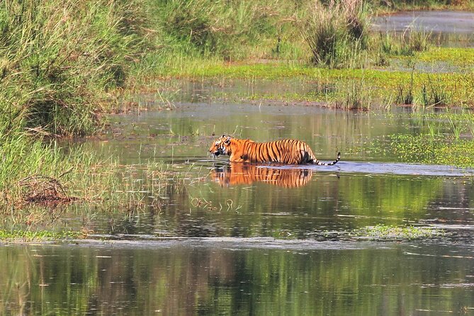 3 Days and 2 Nights Chitwan National Park Safari Tour in Pokhara - Elephant-back and canoeing: why the included activities matter