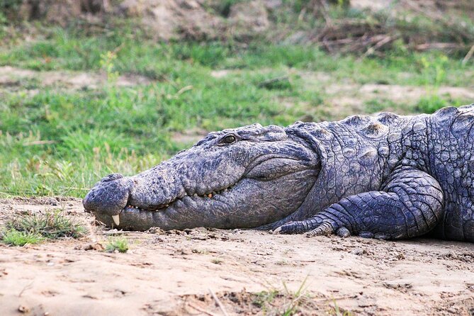 3 Days and 2 Nights Chitwan National Park Safari Tour in Pokhara - Your hotel night: small-group energy and an organized flow