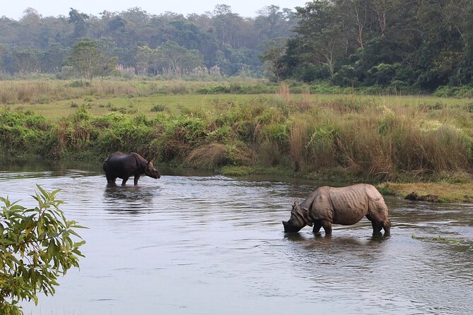 3 Days and 2 Nights Chitwan National Park Safari Tour in Pokhara - Price and value: what $215 really covers