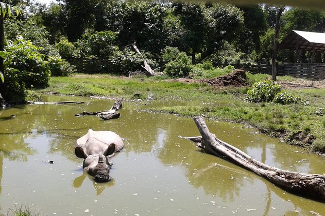 3 Days and 2 Nights Chitwan National Park Safari Tour in Pokhara - Tips to get more from the jeep, the village, and the jungle day