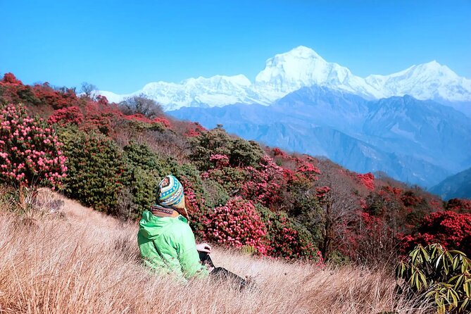 3 Days Ghorepani and Poonhill Private Trek from Pokhara - Who this private trek fits best (and who should rethink it)