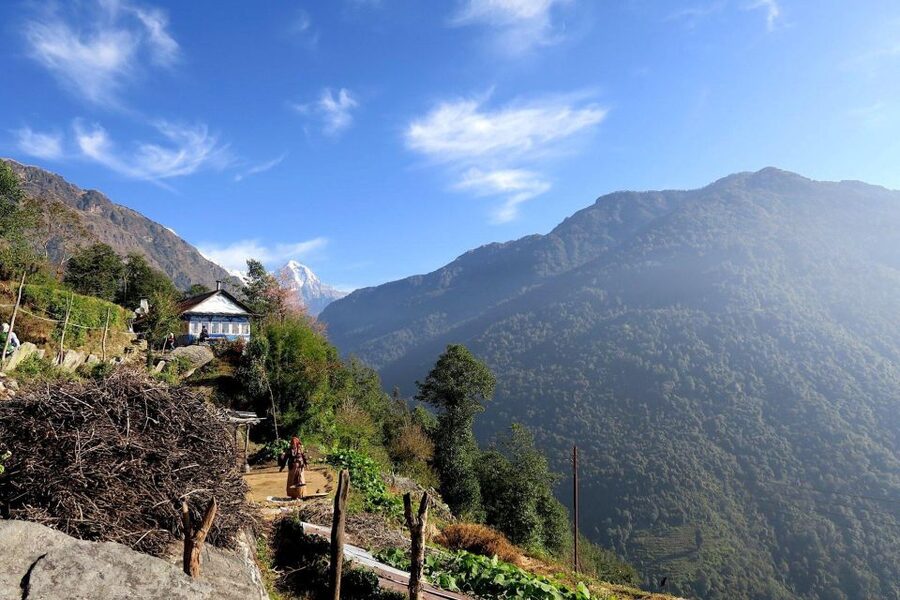4 Day Poon Hill Trek from Pokhara - Day 2: Tikhedhunga to Ghorepani at 2,750m via Ulleri stairs and forests