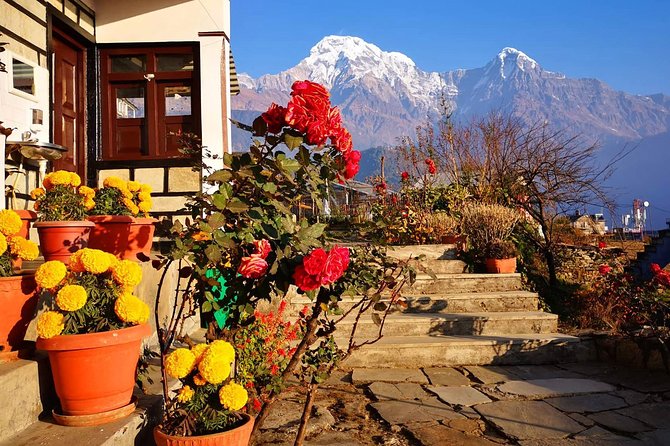 4-Day Private Poon Hill Trekking Tour - Teahouse Lodging and Meals: Simple, Included, and No-Frills
