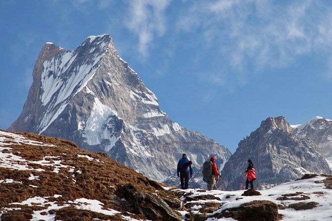 4 Days Mardi Himal Base Camp Trekking in Pokhara - Key highlights worth clocking before you go