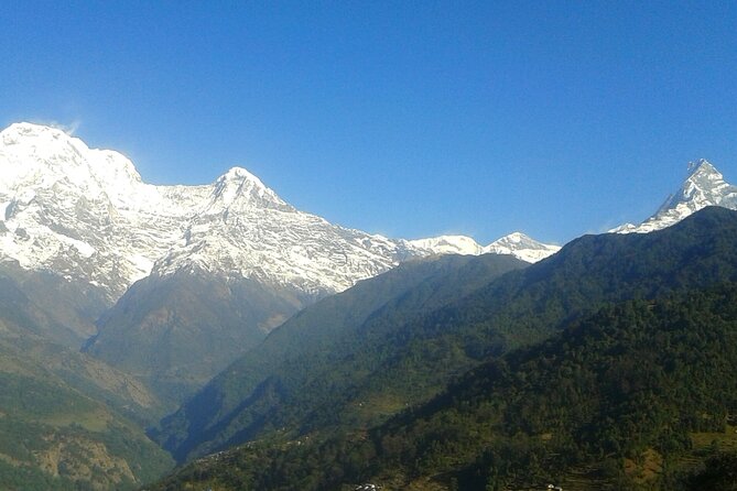 4 Days Mardi Himal Base Camp Trekking in Pokhara - Kande to Forest Camp via Australian Camp: the first big taste of the views