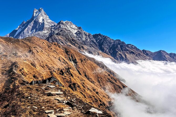 4 Days Mardi Himal Base Camp Trekking in Pokhara - Forest Camp to High Camp: rhododendron forests and mountain focus
