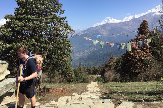 4 Days Poon Hill Trek from Pokhara - Day 3: Poon Hill sunrise for 45 minutes, then onward to Tadapani