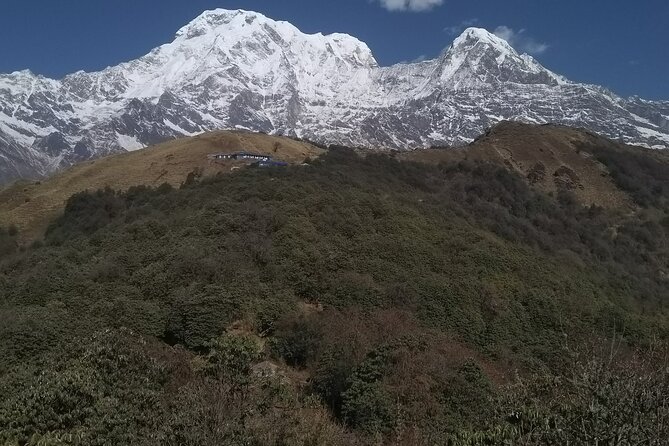 5 Days Mardi Himal Trek. - Day 2: Forest Camp day, where birds and river sounds do the work