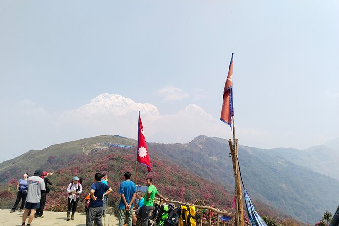 5 Days Mardi Himal Trek. - Price and logistics: what $500 buys you from Pokhara