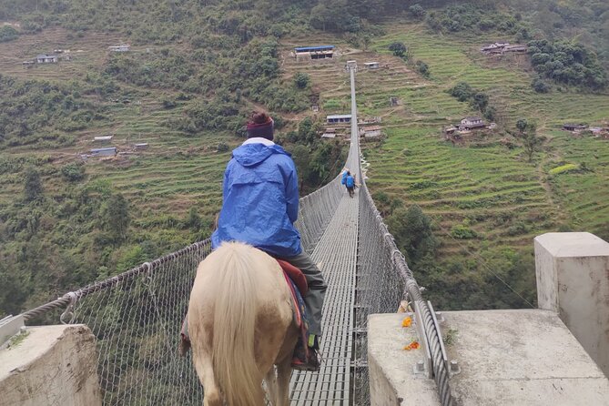 6 days Annapurna Basecamp Trek - Dovan and the Modi River valley: rhododendron forest climbing to Machhapuchchhre views