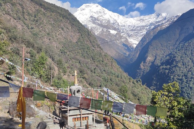 6 days Annapurna Basecamp Trek - Deurali to Annapurna Base Camp: the day the peaks come close