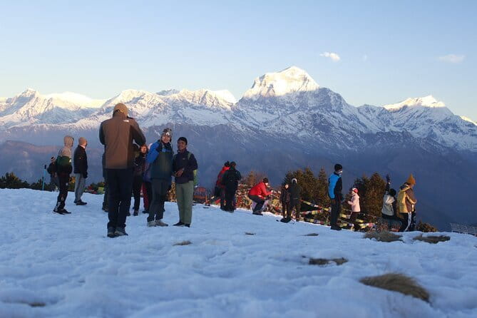 7-Day Trek to Annapurna Base Camp from Pokhara - Day 5: Bamboo and the careful descent after base camp