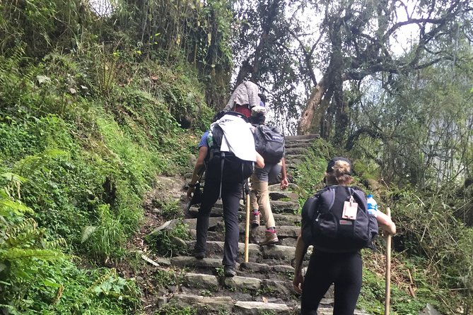 7 Days Annapurna Base Camp Trek from Pokhara - Machhapuchhare Base Camp and Annapurna Base Camp: the payoff with altitude in the background
