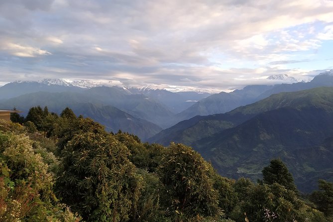 Annapurna: 2 Days 1 Night Poon Hill Trekking - Forest walking and the rainy-season reality check