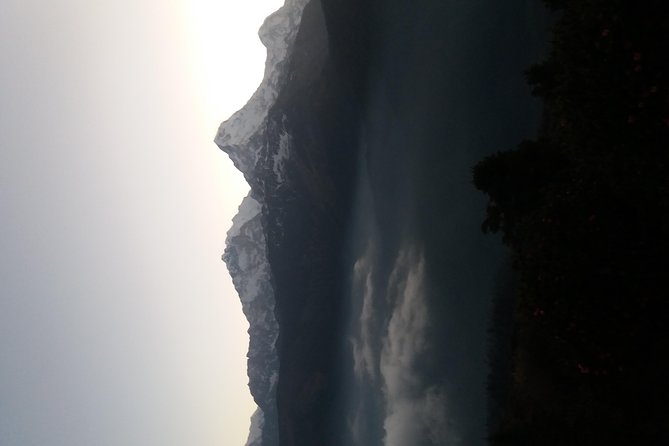 Annapurna: 2 Days Poon Hill Trek from Pokhara - Price and Logistics: Is $230 Good Value for This 2-Day Plan?