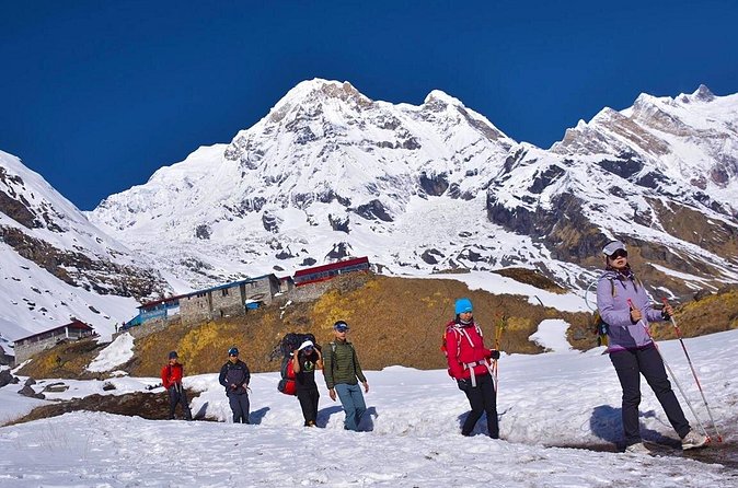 Annapurna Base Camp Trek from Pokhara and Kathmandu - Day 8: Jhinu Danda to Nayapul and back to Pokhara