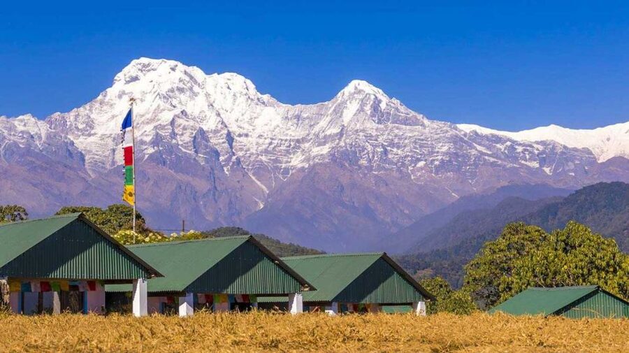Australian Base Camp Day Hike From Pokhara - The uphill hike: 2–3 hours of forest paths, village steps, and a guide who sets the pace