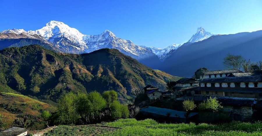 Australian Base Camp Day Hike From Pokhara - The Dhampus break: culture, conversation, and (yes) momo cravings