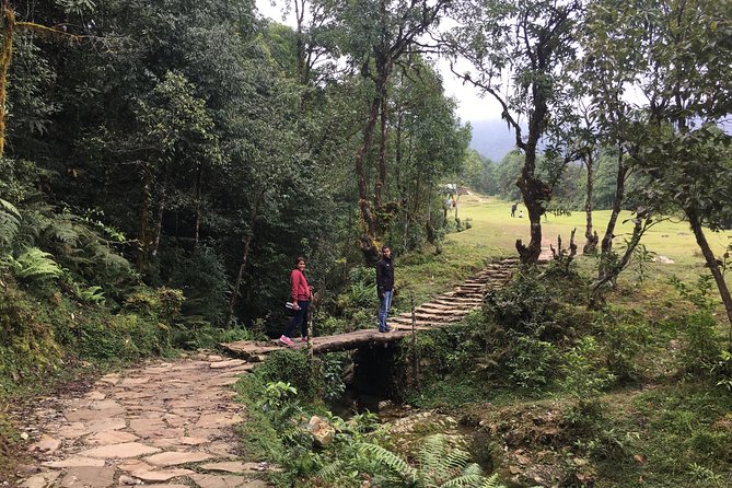 Australian Camp and Dhampus easy hiking - Who this hike is best for