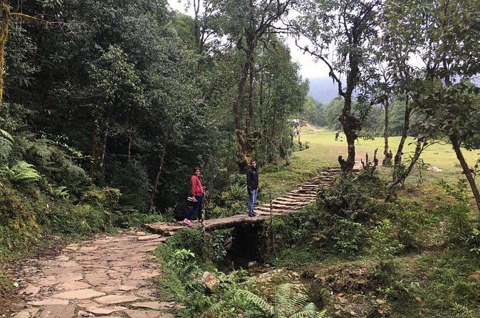 Australian Camp and Dhampus easy hiking - Practical tips to make the experience smoother