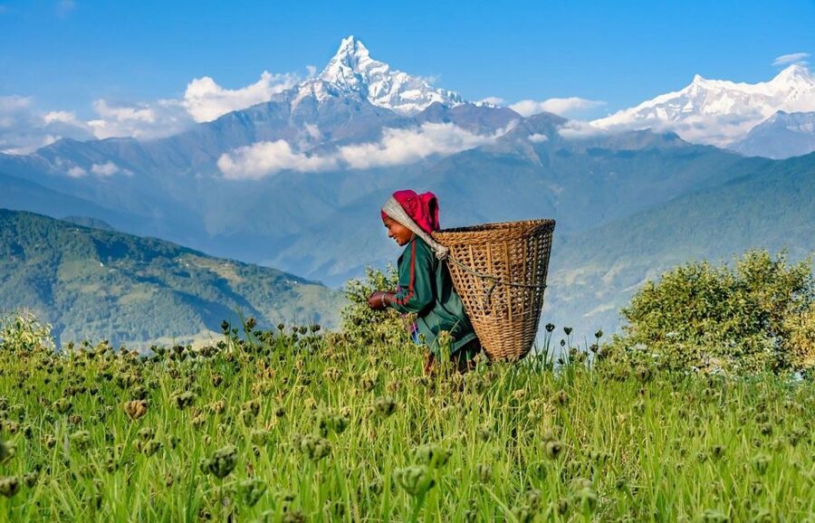 Day Hike at Annapurna Foothills - Australian Camp: where Annapurna South and Machhapuchhre steal the show