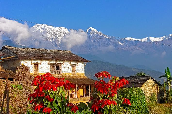 Day Hike at Annapurna Foothills - Price and value: does $98 make sense for a one-day Annapurna hike?