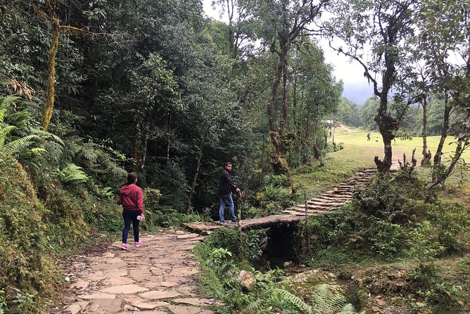 Day hiking to Dhampus - Astam Village - From Lakeside to Phedi: How the Trek Sets You Up