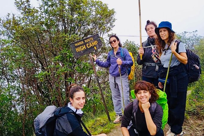 Experience Mardi Himal Trek - Day 3: Low Camp to High Camp and the Tree Line Shift
