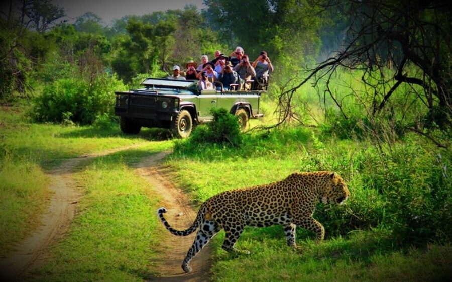 From Kathmandu/Pokhara: Private 3-Day Chitwan Safari Tour - From Kathmandu or Pokhara to Chitwan, Without Making It a Project