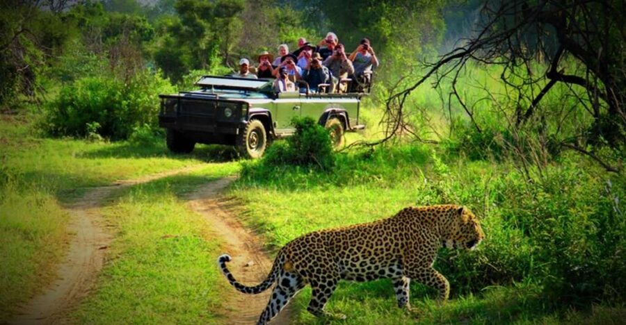 From Kathmandu/Pokhara: Private 3-Day Chitwan Safari Tour - Day 2: Jeep Safari for Big Sightings, Then Rapti Canoe for Quiet Moments