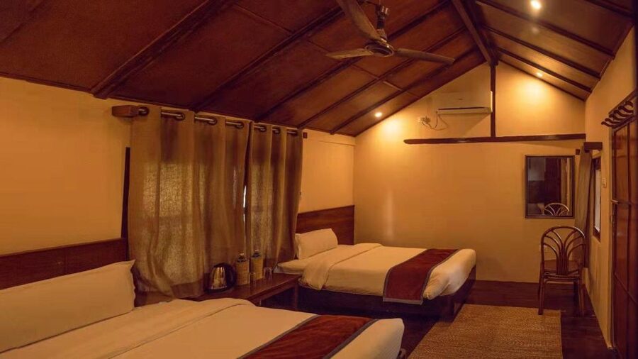 From Kathmandu/Pokhara: Private 3-Day Chitwan Safari Tour - Tharu Culture and Community Stops That Make the Trip Feel More Whole
