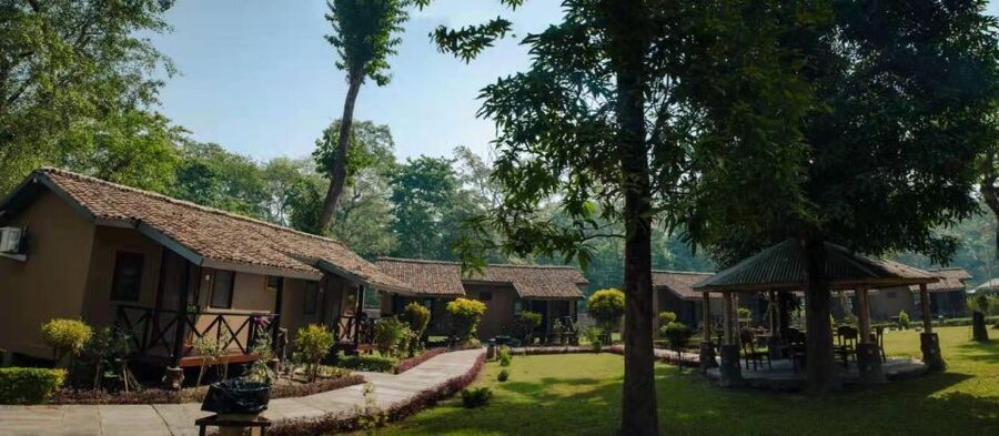 From Kathmandu/Pokhara: Private 3-Day Chitwan Safari Tour - Price, Value, and Who This Tour Makes Sense For