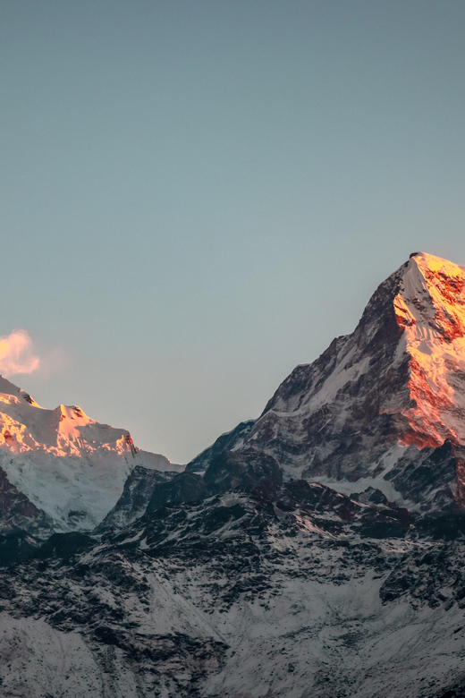 From Pokhara: 3-Day Ghorepani Poonhill Short Trek - Day 2: Ulleri to Ghorepani, oak and rhododendron forests up to 2,870 m