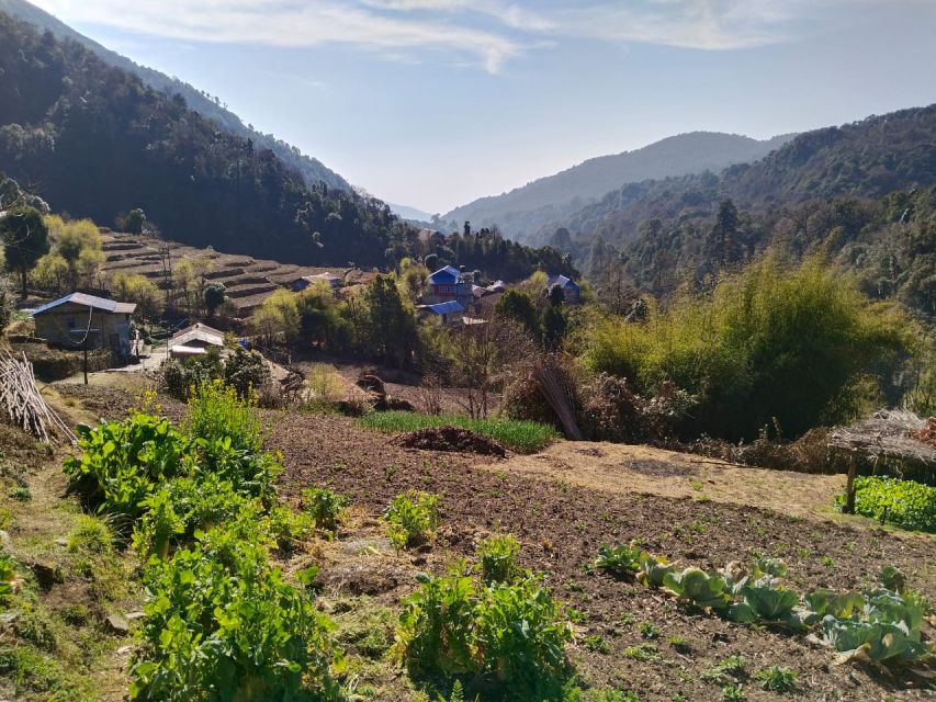 From Pokhara: 4-Day Annapurna and Poon Hill Himalayan Trek - Day 2: Sunrise at Poon Hill, breakfast in Ghorepani, then the trek to Tadapani (about 6 hours)