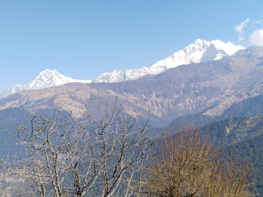 From Pokhara: 4-Day Annapurna and Poon Hill Himalayan Trek - Guides, weather, and how to handle itinerary shifts without panic