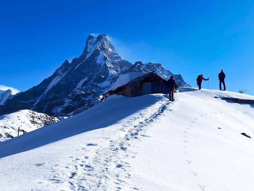 From Pokhara: 4-Day Mardi Himal Base Camp Trek - Key highlights worth your attention