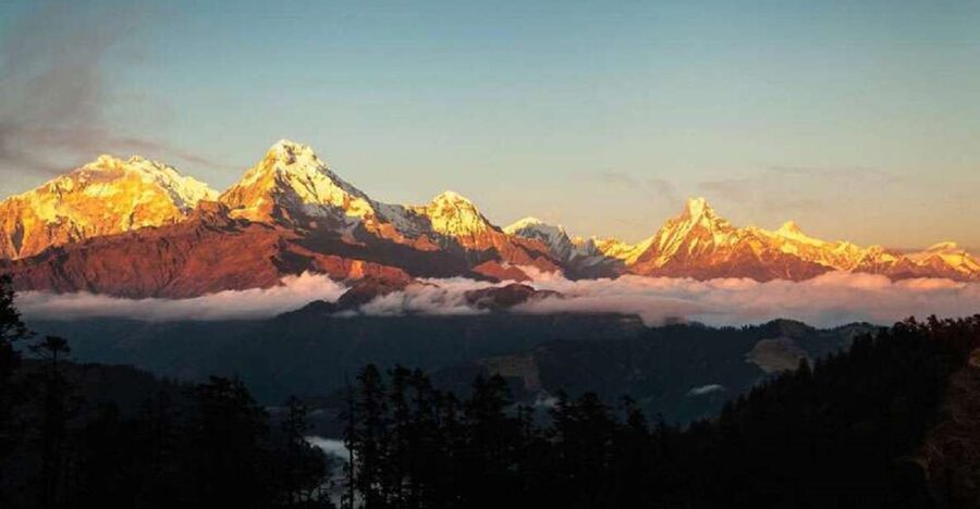 From Pokhara: 5-Day Annapurna Basecamp Trek with Hot Springs - Chomrong to Deurali/Himalaya (around 2,900m): forests that actually feel like Nepal