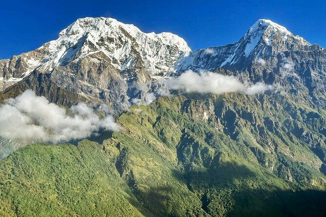 From Pokhara: Annapurna Base Camp (ABC) Helicopter Landing Tour - Price and Value: $700 for Speed, Convenience, and a Guaranteed ABC Landing